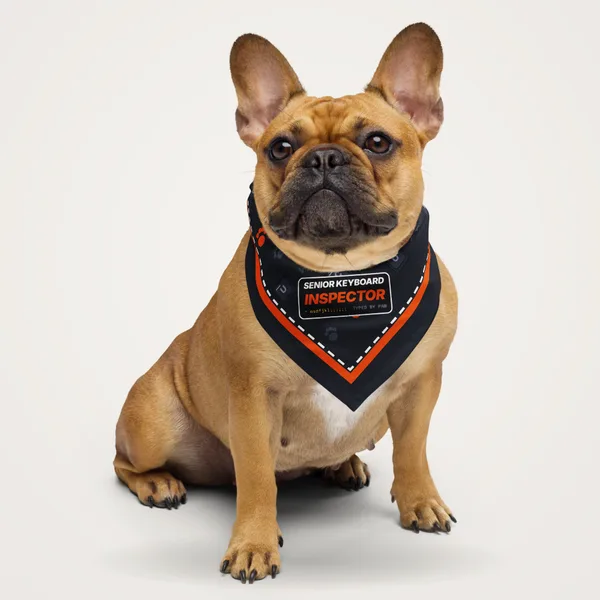 Senior Keyboard Inspector Bandana pet bandana in a styled photo