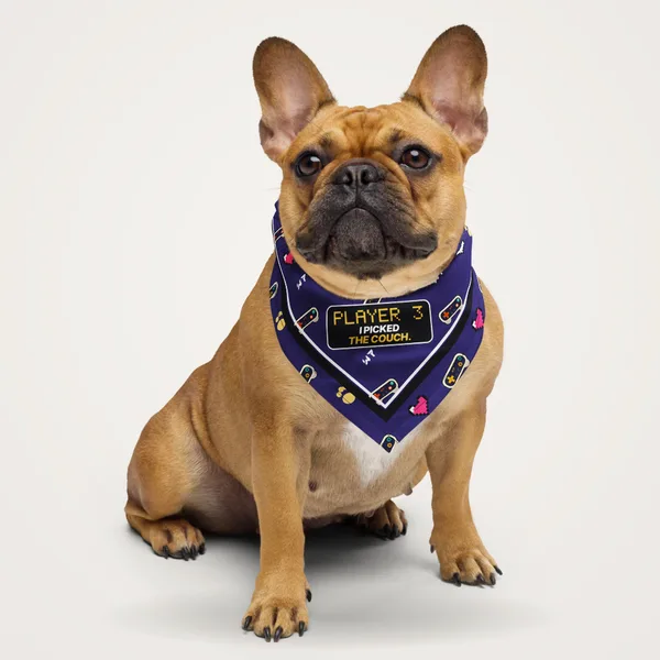 Player 3 Pet Bandana pet bandana in a styled photo