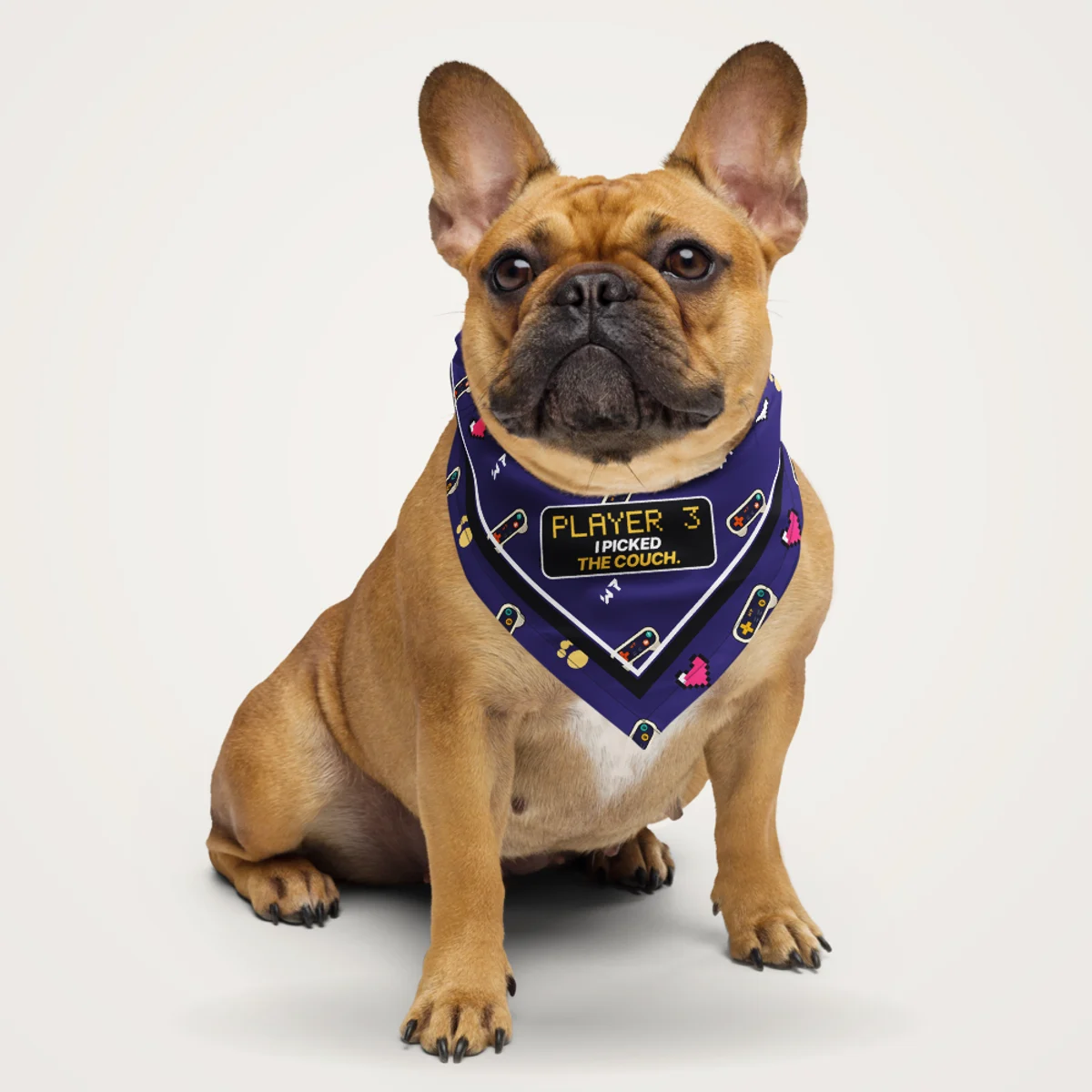 Player 3 Pet Bandana pet bandana in a styled photo