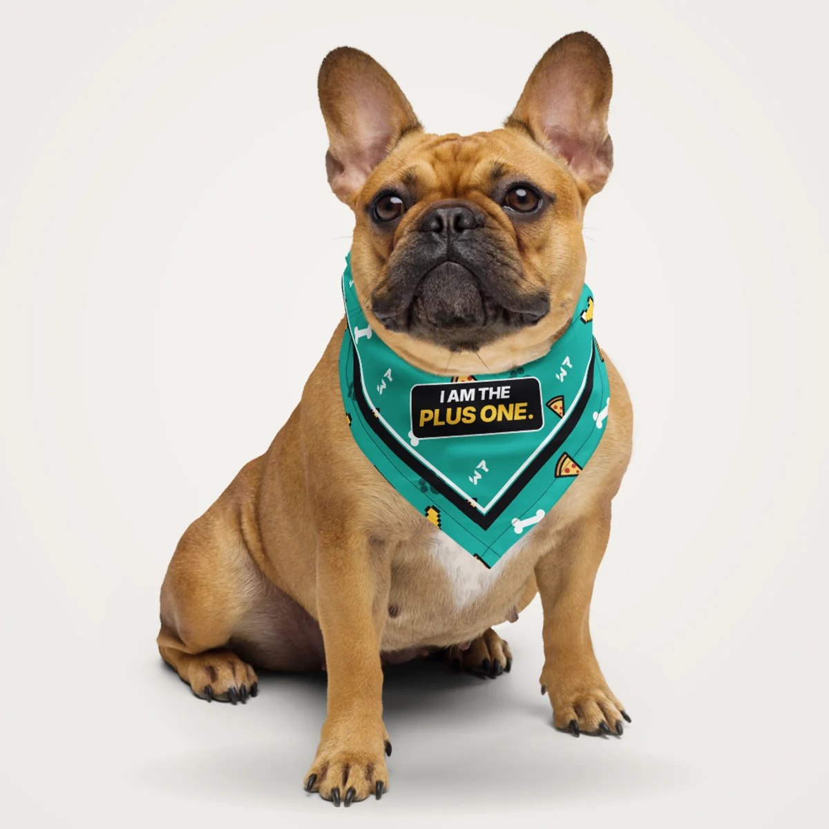 I Am The Plus One Bandana pet bandana in a styled photo