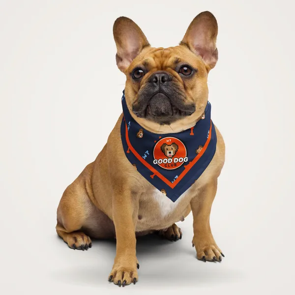Good Dog Club All Over Bandana pet bandana in a styled photo